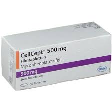 سيل سيبت 500 Cell cept 500